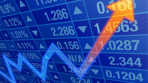 NSE Share price
