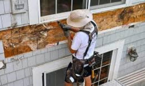 wood rot repair