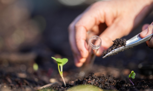 chelated micronutrients