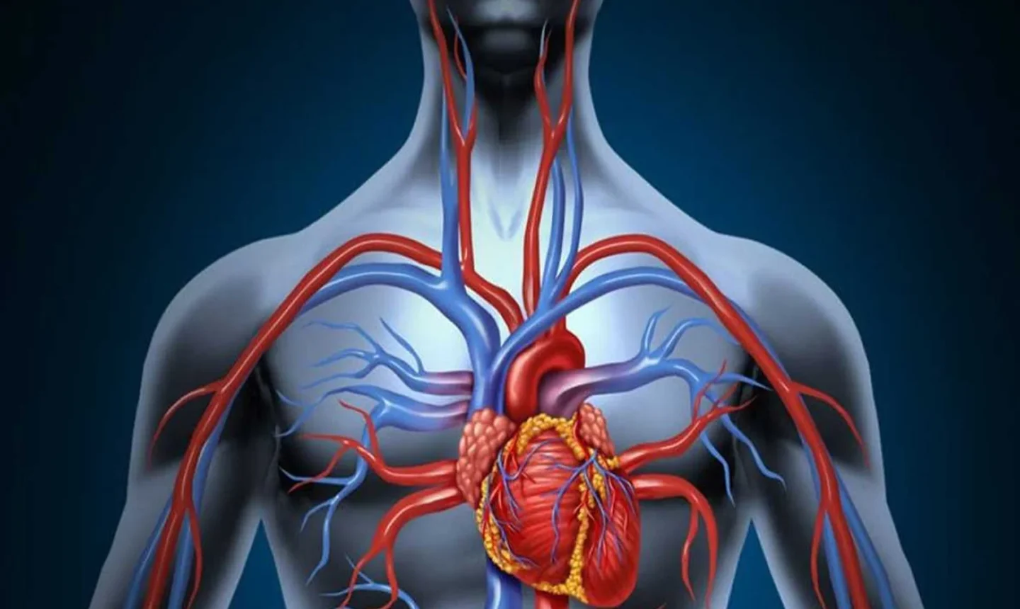 vein clinic near you